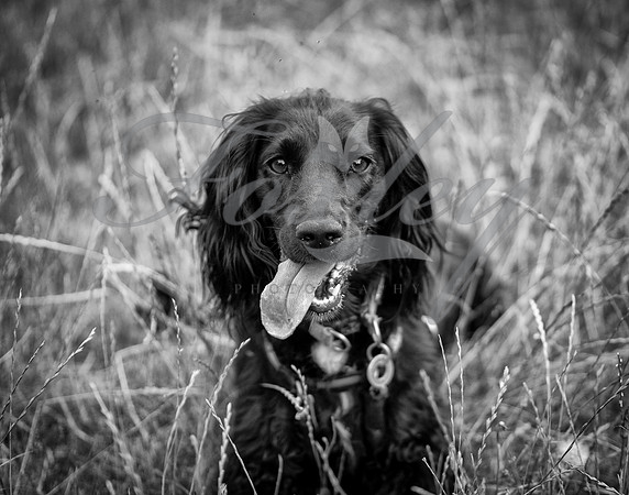 P1088731-Edit