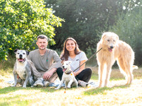 Maya's Dogs