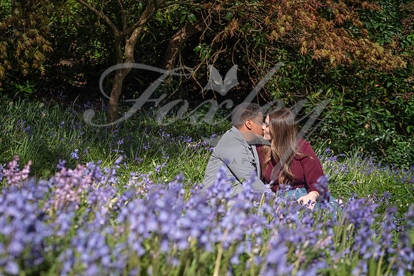 P1111767-Edit