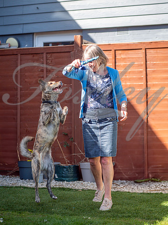P1011040-Edit