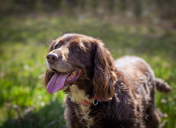 IMG_2555-Edit