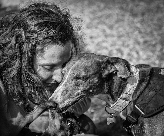 Dog Photography