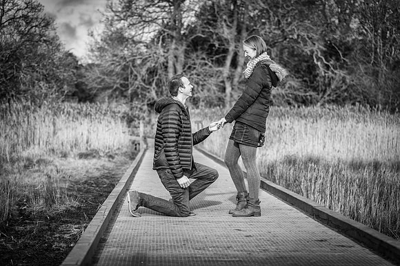 Proposal