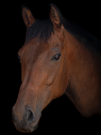 P1099480-Edit-2