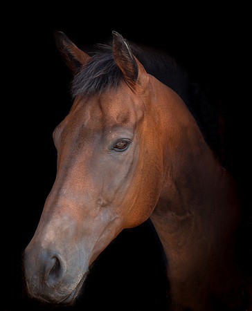 P1099525-Edit