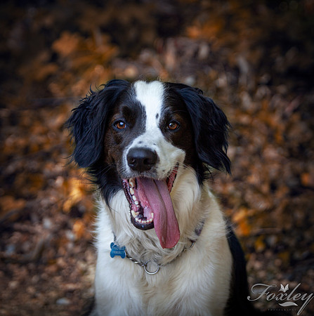 IMG_0531-Edit