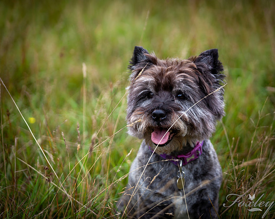 IMG_1250-Edit