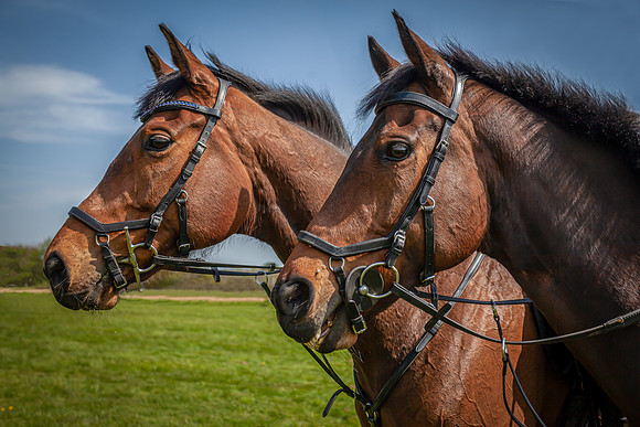 IMG_7310-Edit